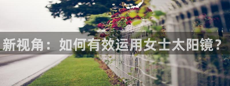 卧龙2神机娱乐代理