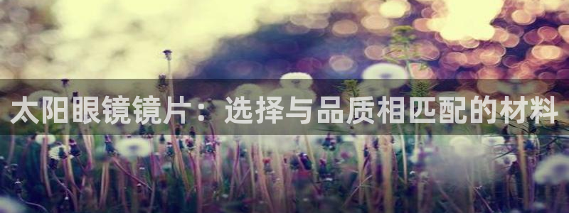 sky娱乐 扣卧龙60447