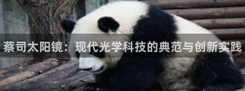 卧龙娱乐月