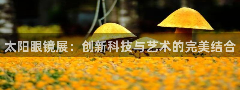 卧龙娱乐月7O667