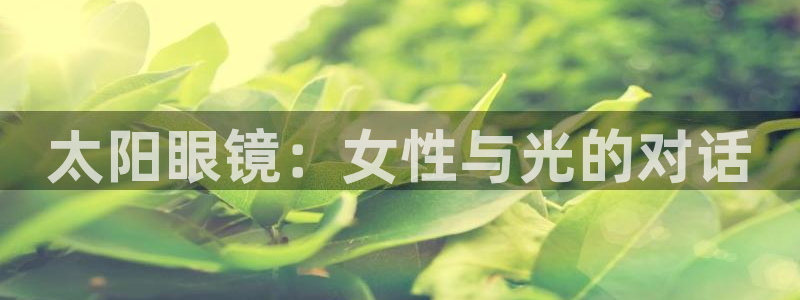 卧龙娱乐山西