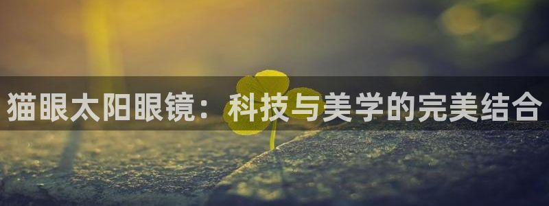 卧龙凤雏娱乐收入